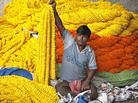 b7226d98-0500-40e7-b78a-6bb853c9edb1HiRes