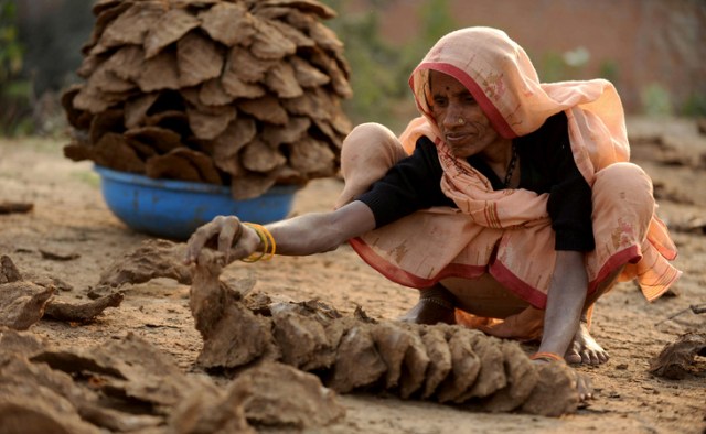 TOPSHOTS-INDIA-ENVIRONMENT-FUEL-DUNG