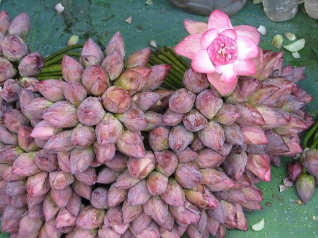 post_display_open-uri20130124-7631-bgf9sp