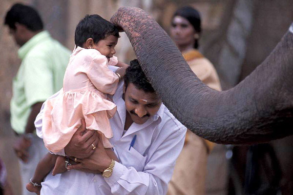 blessing-by-elephant80