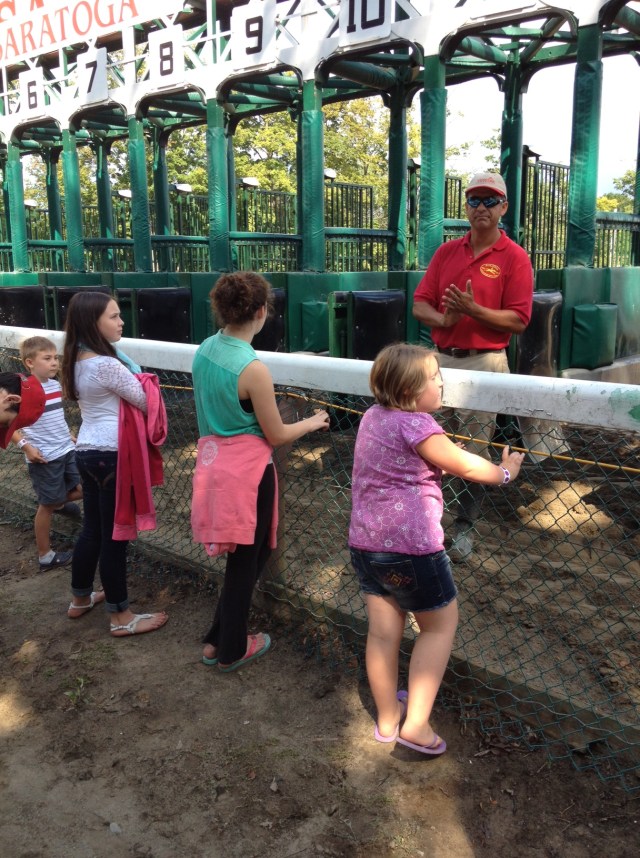 photo (1) starting gate