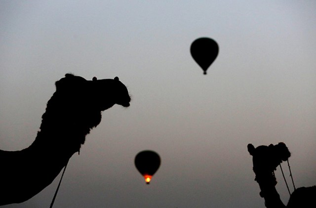 Camels and hot air balloons are silhouetted against the darkening sky
