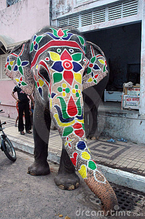 elephant-painted-rathyatra-ahmedabad-5661124