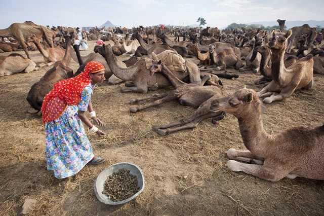 One-of-the-jobs-carried-o-015