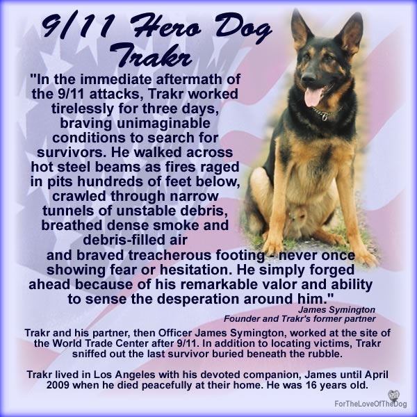 480444_10151059997285922_1524127715_n