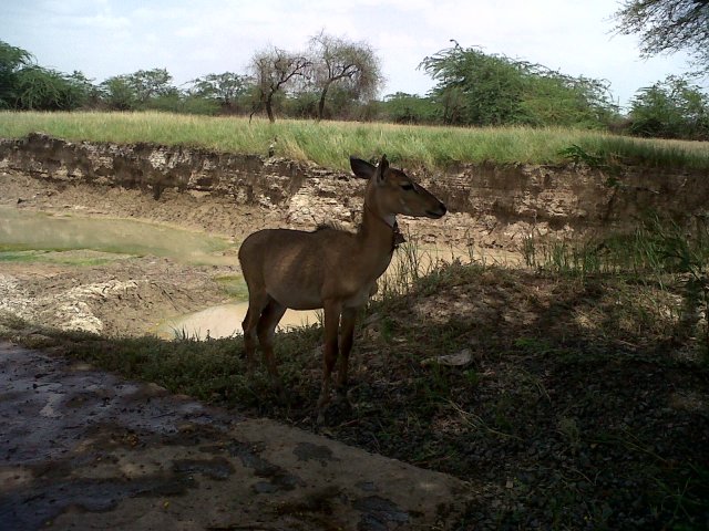 IMG01990-20130807-1327