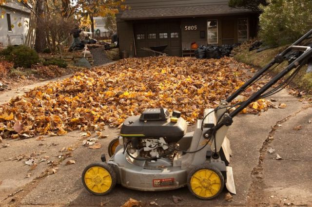 6a00e554503eee88330120a66f14f4970b-800wi