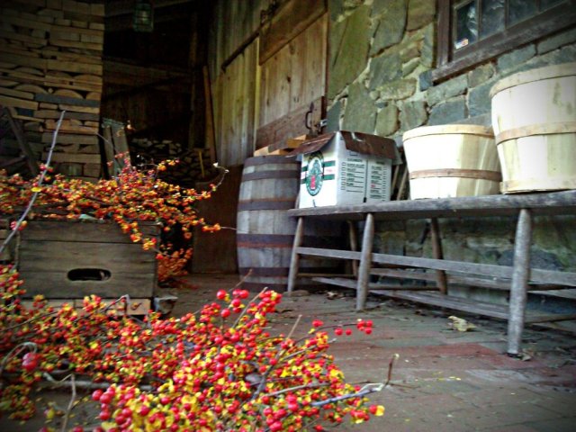 autumn_in_new_england_by_phrasethefallen-d4cmfb0