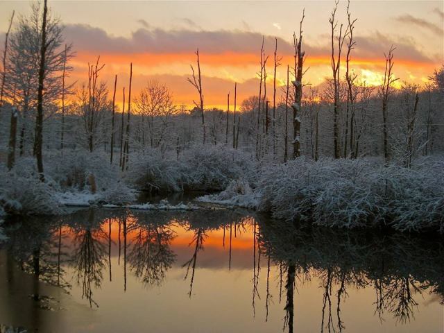 1501739_10151839786972058_1158359906_n (1)