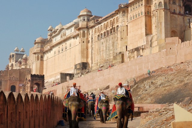 amber-fort-elephant-ride