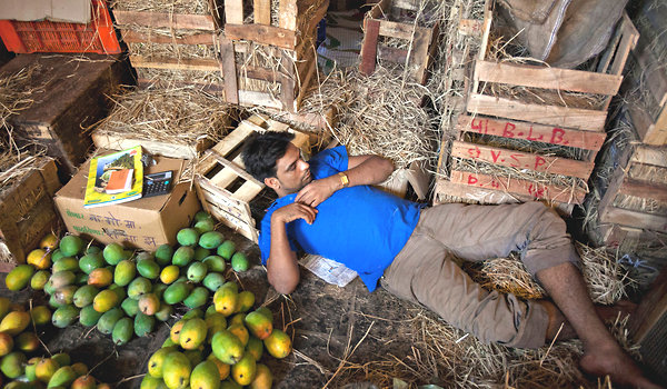 MANGOS-articleLarge (1)