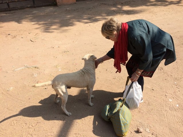 10881595_10205885426843104_5031722477470665976_n