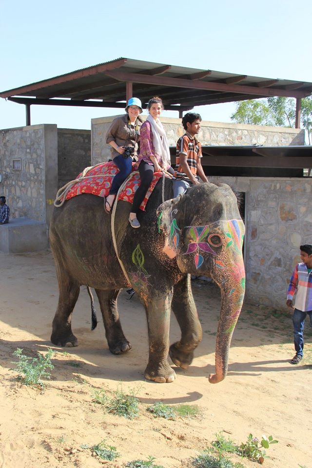 1900574_886815851370437_1486190670512356894_o