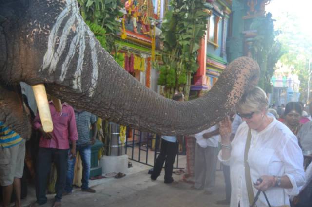 11156322_813643048704094_8727577943952823551_n (1)