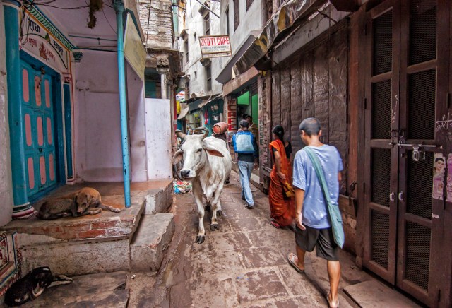 8669455406_14a8bff673_b