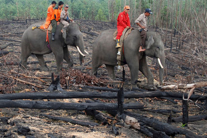 1297770632728_ORIGINAL